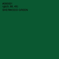 #095831 - Sherwood Green Color Image